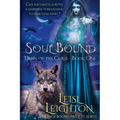 Soul Bound: Dawn of the Curse Book 1