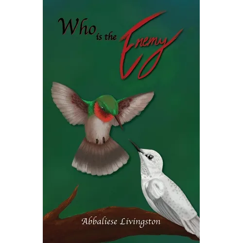 Who is the Enemy - Paperback