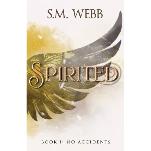 Spirited: Book 1: No Accidents
