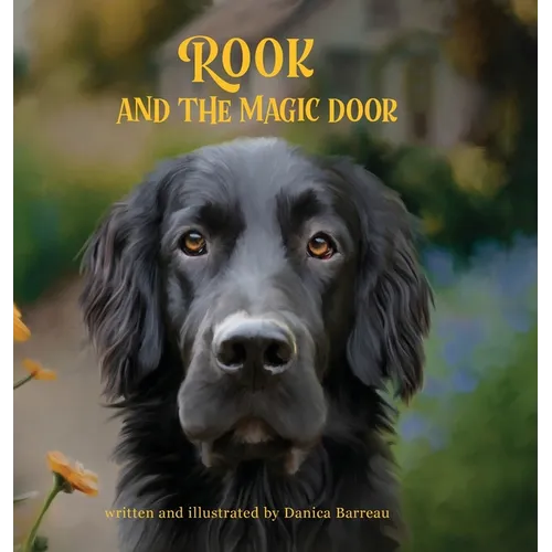 Rook and the Magic Door: Written and Illustrated by Danica Barreau - Hardcover
