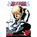 Bleach, Vol. 49: The Lost Agent