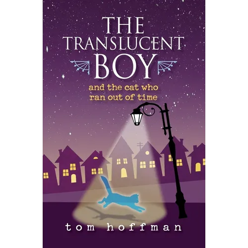 The Translucent Boy and the Cat Who Ran Out of Time