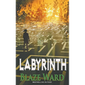 Labyrinth