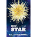 His Christmas Star/Her Second Chance: Two Clause Novellas